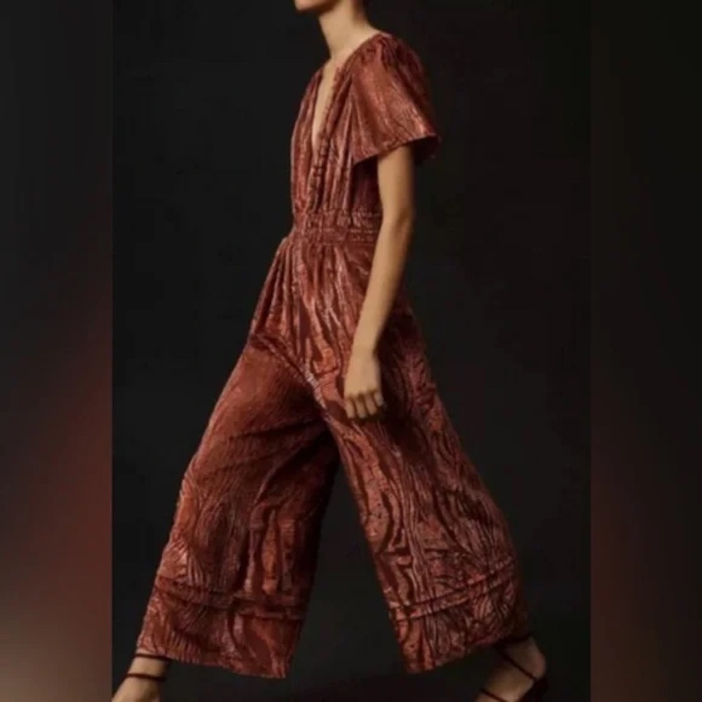 Anthropologie The Somerset Jumpsuit: Velvet Burnout Edition Size Small - Picture 2 of 4